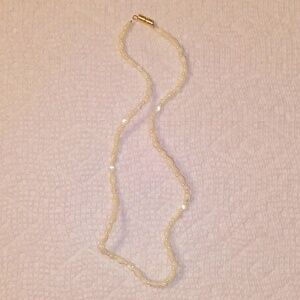 *3/$12* NWOT Shell Choker Necklace Summer